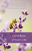 Seasons of Alaska 3 - If Not For A Bee (Seasons of Alaska, Book 3) (Mills & Boon Heartwarming)