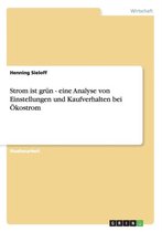Strom ist grun - eine Analyse von Einstellungen und Kaufverhalten bei OEkostrom