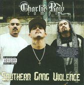 Southern Gang Violence