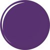 800 Purple