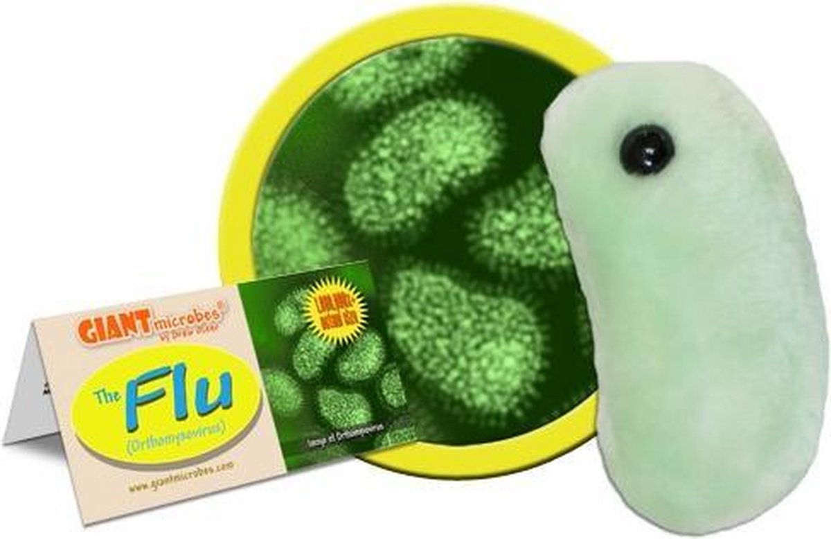 FLu (Orthomyxovirus)
