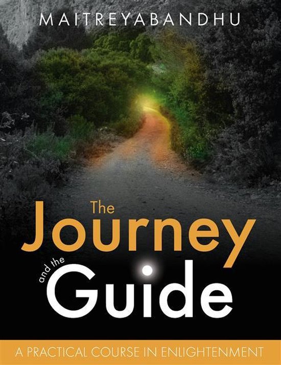 La couverture du livre 'The Journey and the Guide', avec un chemin éclairé s'enfonçant dans une forêt.