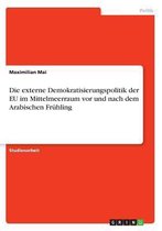 Die Externe Demokratisierungspolitik Der Eu Im Mittelmeerraum VOR Und Nach Dem Arabischen Fruhling