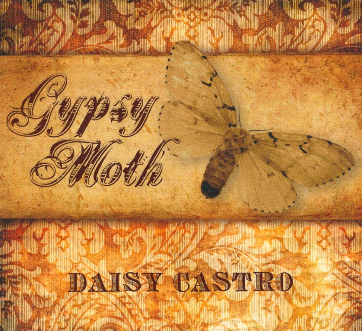 Gypsy Moth