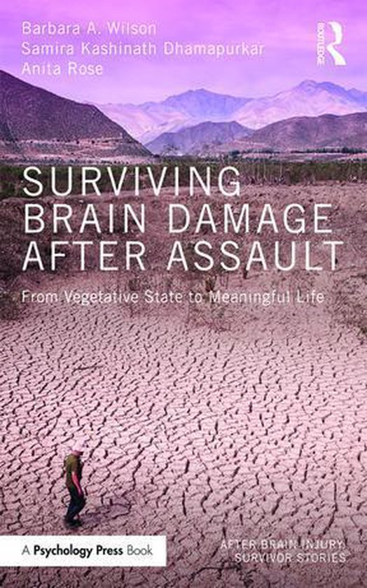 After Brain Injury: Survivor Stories - Surviving Brain Damag ... - cover
