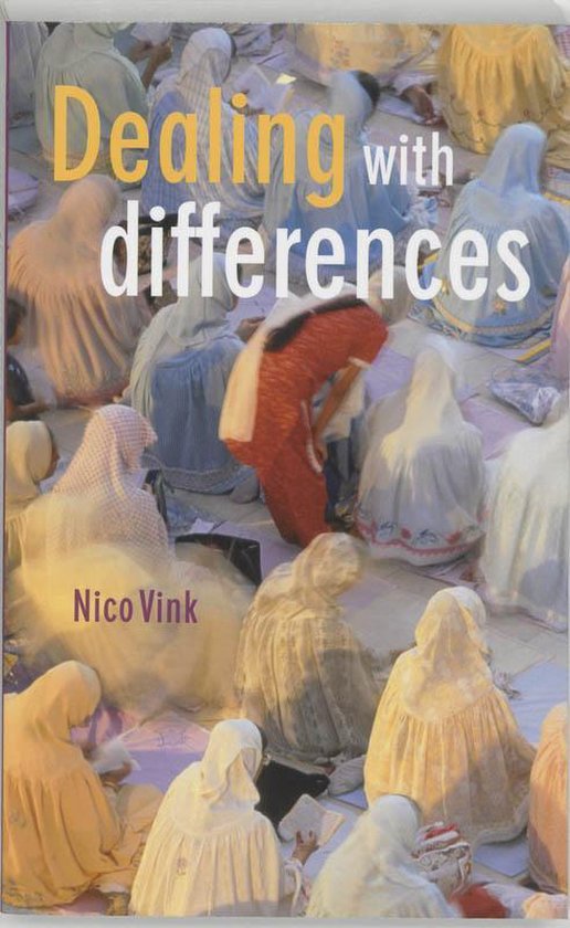 Cover van het boek 'Dealing with Differences' van N. Vink