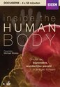 Inside The Human Body