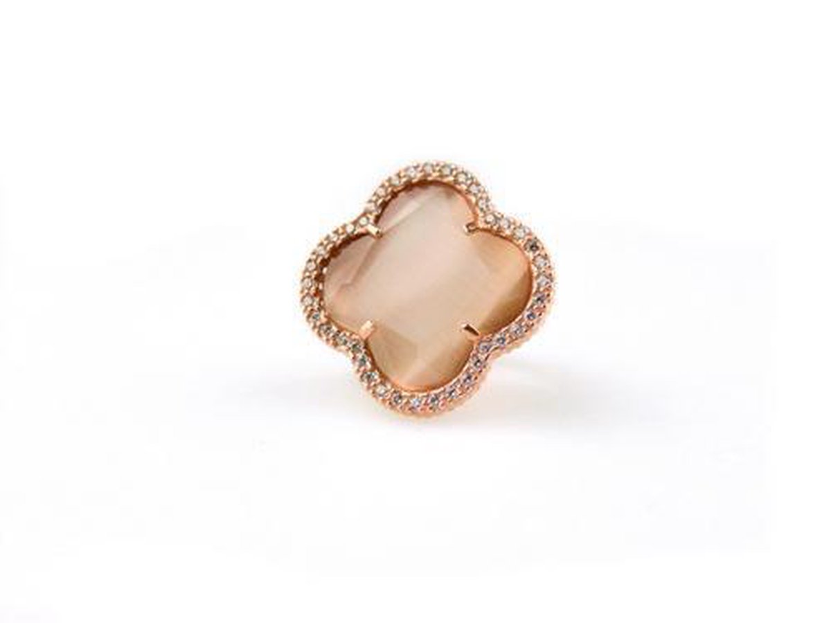 model Fiori gezet ring in zilver roze verguld bruin