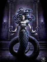 Anne Stokes - Serpents Spell - 30 x 40cm 3Dprint