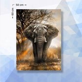 Diamond Painting Pakket Olifant - ronde steentjes - 50 x 60 cm