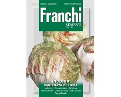 Franchi - Cichorei, Cicoria var.di Lusia 40/80
