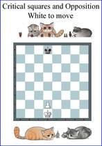 Chess Manuals - Opposition and critical Squares. The most important Chess Pattern