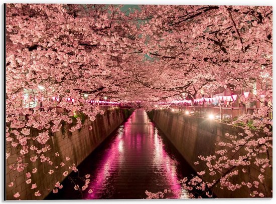 Dibond - Romantische Boom aan het Water - 40x30cm Foto op Aluminium (Met Ophangsysteem)