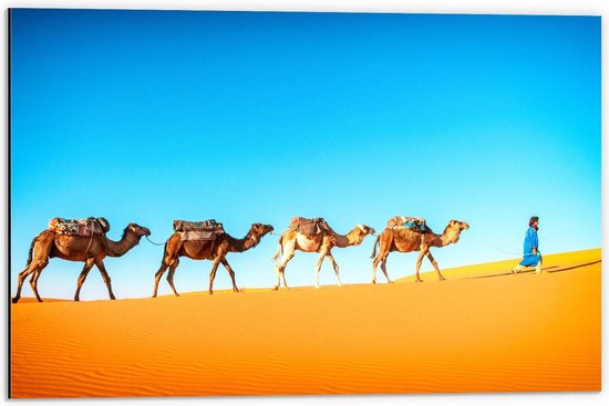 Dibond - Kamelen in de Woestijn met Leider - 60x40cm Foto op Aluminium (Met Ophangsysteem)
