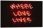 Dibond - ''Where Loves Lives'' Rode Neonletters - 60x40cm Foto op Aluminium (Met Ophangsysteem)