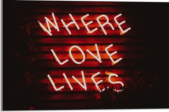 Acrylglas - ''Where Loves Lives'' Rode Neonletters - 60x40cm Foto op Acrylglas (Met Ophangsysteem)
