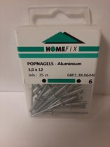 Homefix Popnagels-Aluminium 3.0x10 25 Stuks