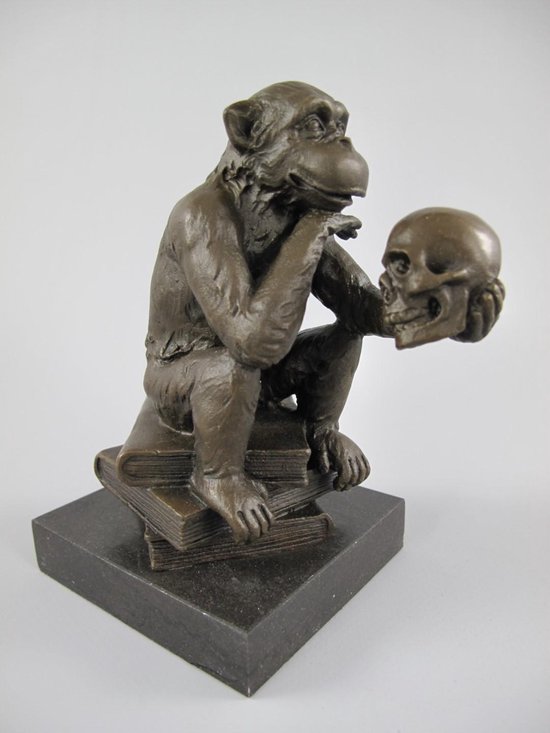 Bronzen beeld - Aap met schedel - Gedetailleerd sculptuur - 14 cm hoog