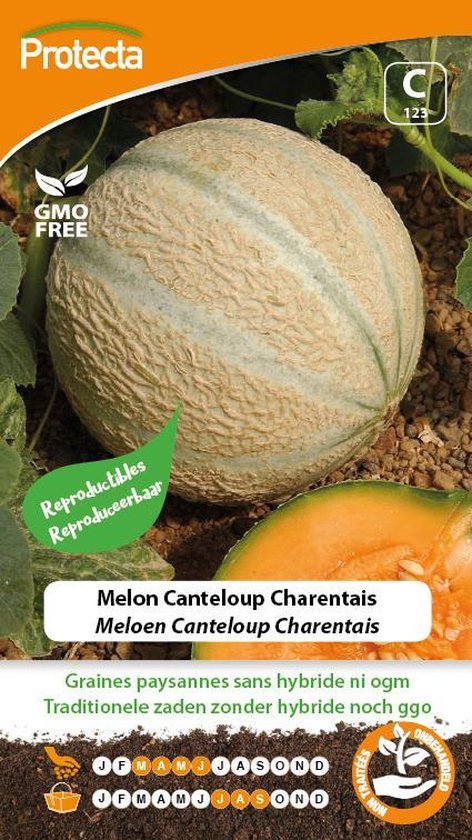 Meloen Canteloup Charentais PRO123