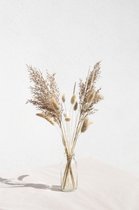 Droogbloemen boeket | 30cm | Mini Basic + vaas | naturel | bruin | wit