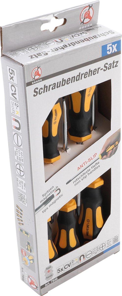 Schroevendraaierset 5 delig BGS 7946