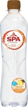 Spa Touch Bruisend Pineapple Ginger 6 x 50cl