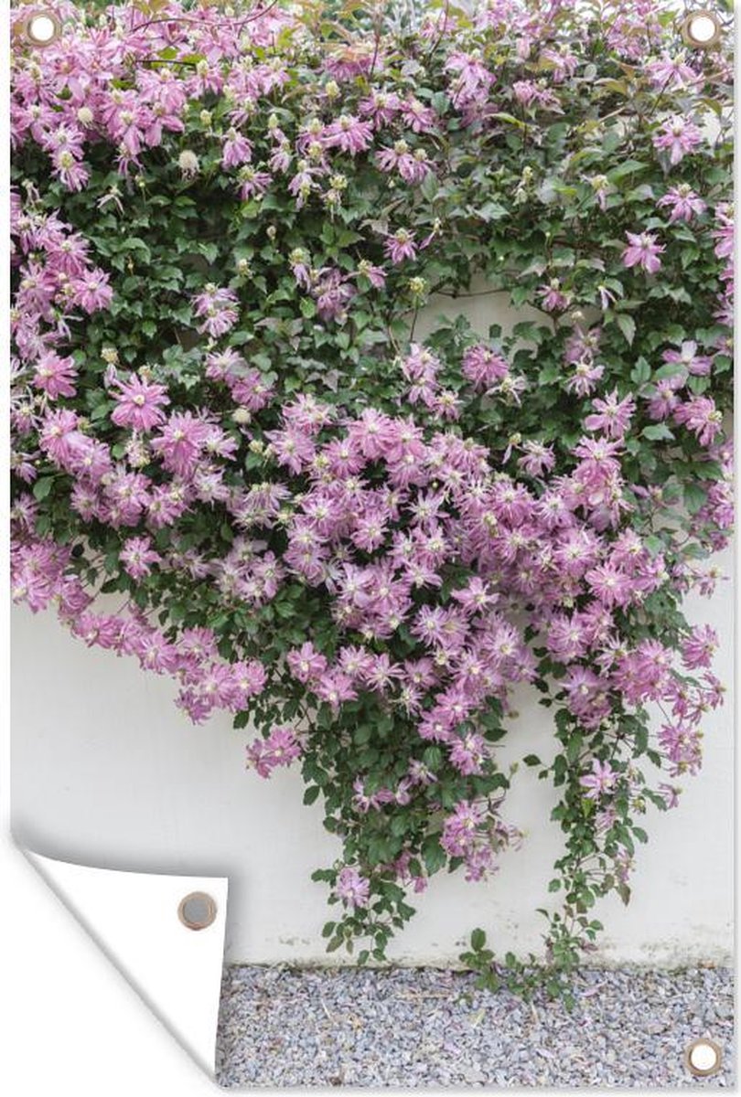 Tuinposter Klimplanten Klimplant Met Roze Bloemen Tuinposter Los Doek 80x120 Cm 5391