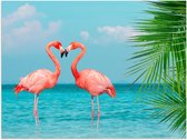 Poster – Twee Liefdevolle felroze Flamingo's in het Water  - 40x30cm Foto op Posterpapier