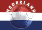 Papieren Placemats Onderleggers "Nederland EK Voetbal" 50 stuks (30x42cm)