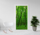 Deurposter - Luxe deursticker Zomerbos - groen - natuur - 201,5 x 93 cm of andere maat