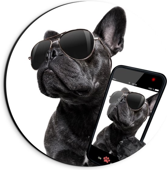 Dibond Wandcirkel - Zwarte Bulldog trots op zijn Selfie - 20x20cm Foto op Aluminium Wandcirkel (met ophangsysteem)