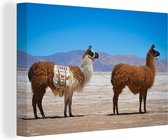 Canvas Schilderij Lama - Woestijn - Bergen - 60x40 cm - Wanddecoratie