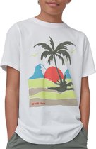 O'Neill Palm T-shirt - Jongens - wit/geel/blauw