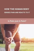 How The Human Body Senses Pain And Reacts To It: Is Pain Just A Pain?