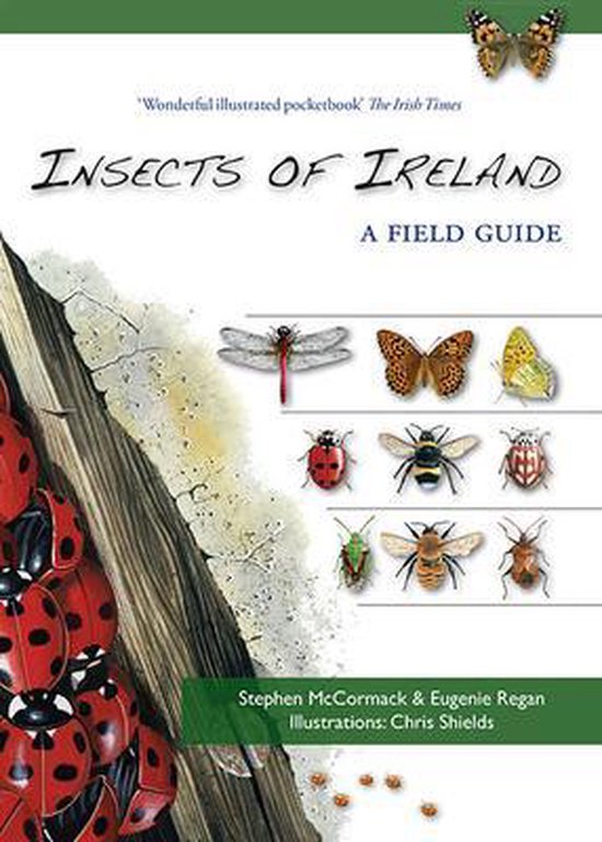 Clock Insect Ireland Insects of Ireland, Stephen Mccormack | 9781848892088 | Boeken | bol.com