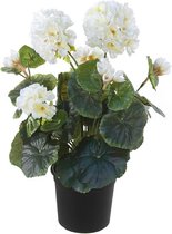 Kunst Geranium Wit / Crème 35cm 5 bloemen in pot (ook buiten te gebruiken)
