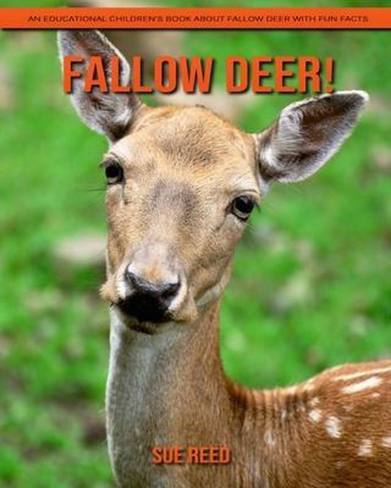 Fallow Deer! An Educational Children's Book about Fallow Deer with Fun ...