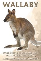 Wallaby: Datos divertidos sobre animales del zoológico para niños #15