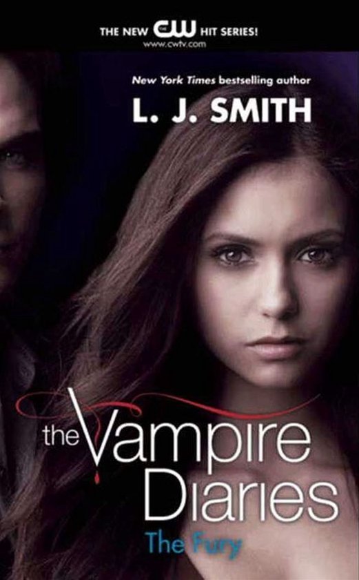 Vampire Diaries 3 - The Vampire Diaries: The Fury - cover