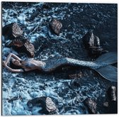 Dibond - Liggende Zeemeermin bij Zee - 50x50cm Foto op Aluminium (Wanddecoratie van metaal)