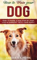 How to Train Your Dog