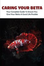 Caring Your Betta: Your Complete Guide To Ensure You Give Your Betta A Good Life Possible