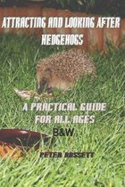 Attracting & Looking After Hedgehogs b&w