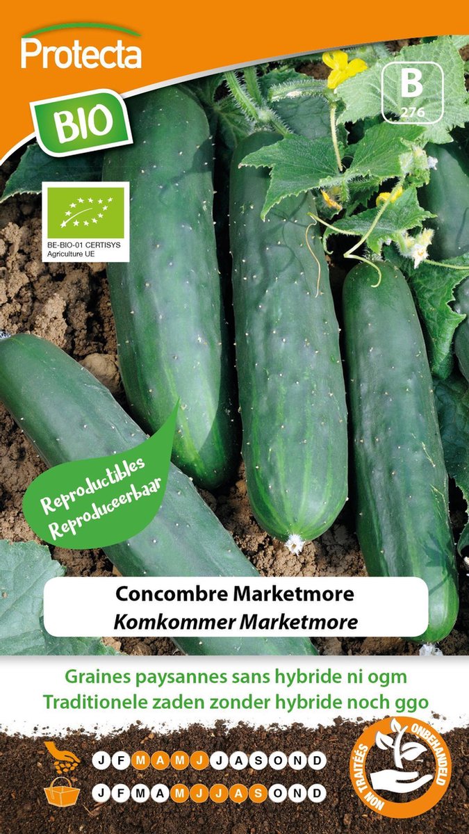 Protecta Groente zaden: Komkommer Marketmore Biologisch