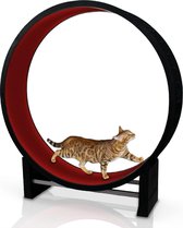 Kat in beweging. Loopwiel voor katten - CanadianCat Company | Rood