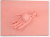 Acrylglas - Roze Handschoen op Roze Achtergrond - 40x30cm Foto op Acrylglas (Wanddecoratie op Acrylglas)