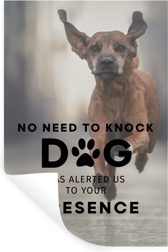 Sticker Muursticker Citations Chiens Citation Chiens Chien Nous A Alerte De Votre Bol Com