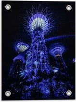 Tuinposter – Garden by the Bay - Singapore  - 30x40cm Foto op Tuinposter  (wanddecoratie voor buiten en binnen)