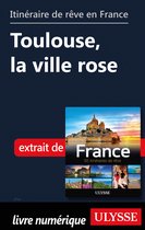 Guide de voyage - Itinéraire de rêve en France - Toulouse, la ville rose