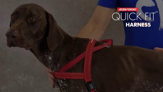 EzyDog Quick Fit Dog Harness - Harnais pour Chiens - L - Candy Stripe |  bol.com